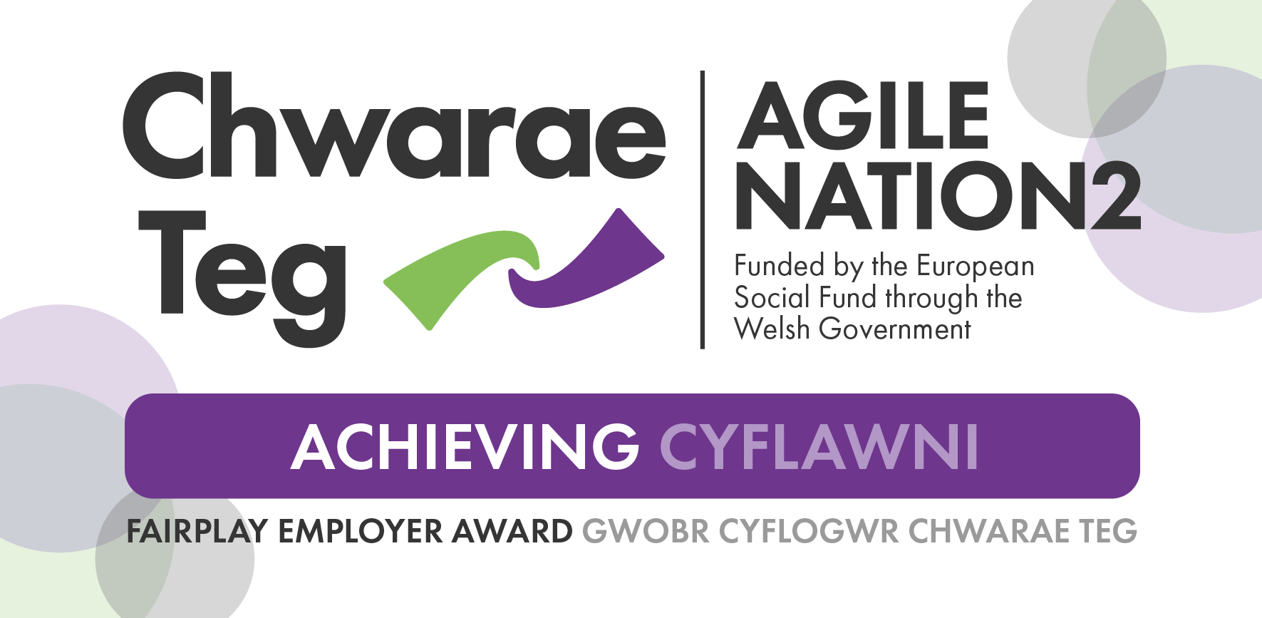 "Chwarae Teg" Fairplay Employer Achieving Award